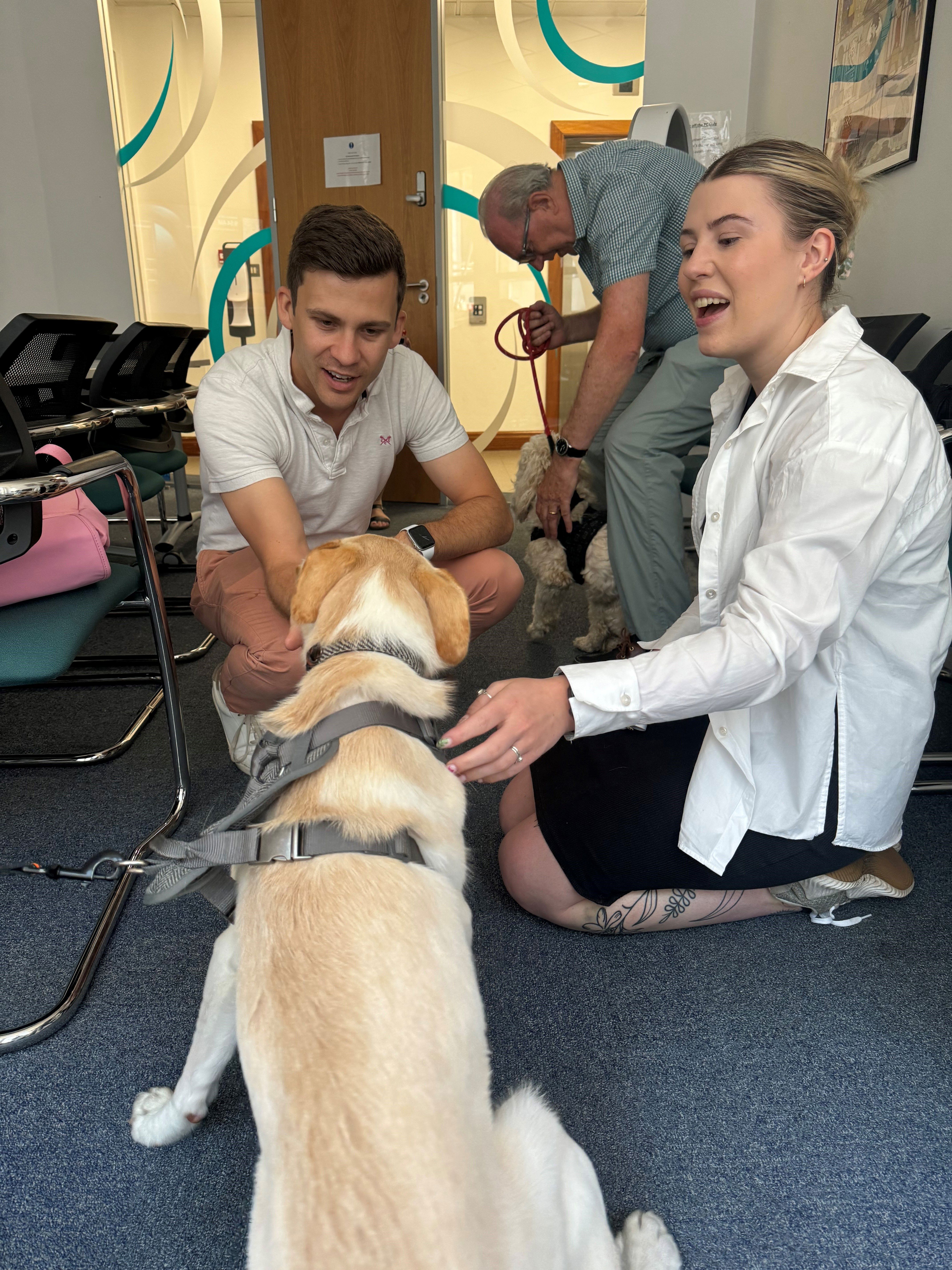 Dogs At Clear For Wellbeing Week